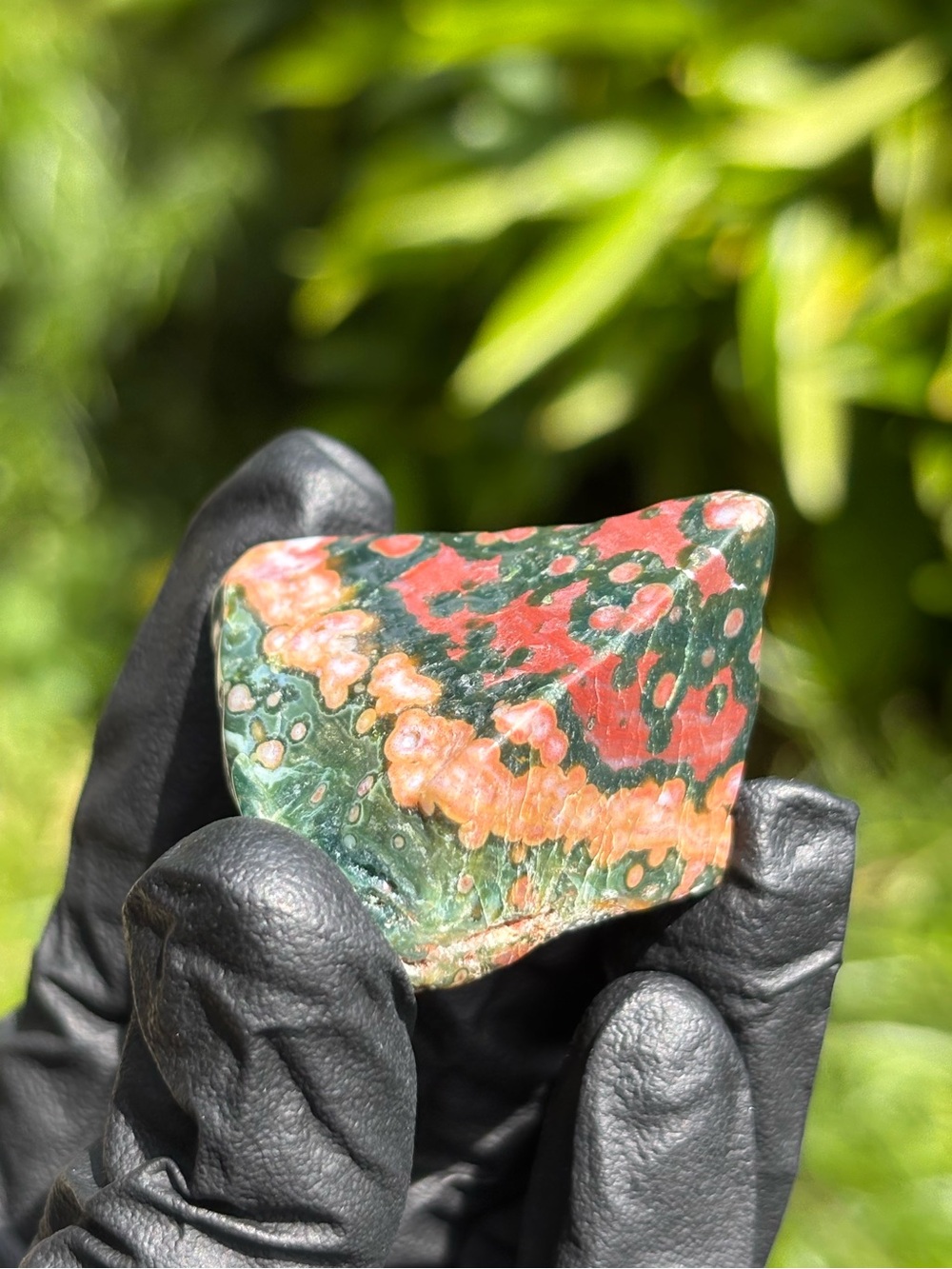 Small Ocean Jasper Freeform - Polished Orbicular Jasper - Sea Jasper